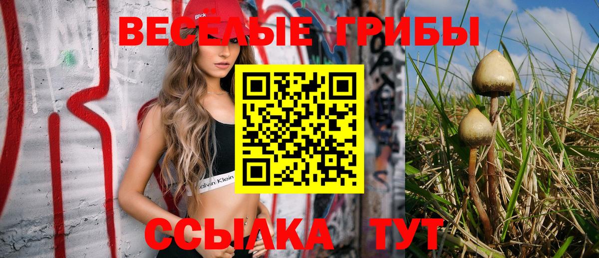 Галлюциногенные грибы Magic Shrooms Елабуга