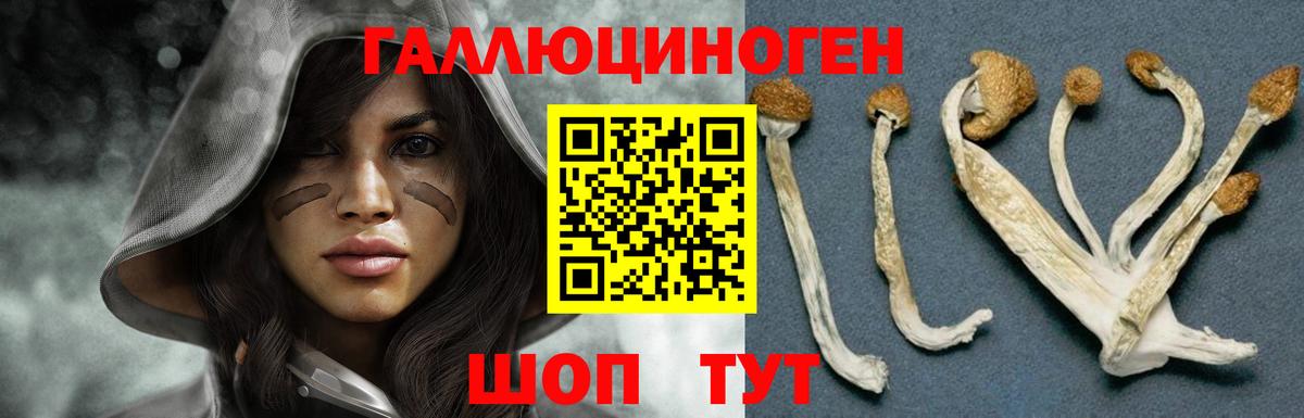 Псилоцибиновые грибы MAGIC MUSHROOMS  купить наркотик  Елабуга  Вход с VPN 